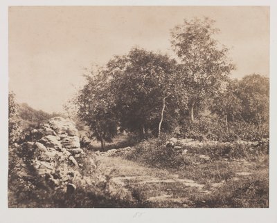 Untitled Scene of Fontainbleau, ca. 1853. av André Giroux
