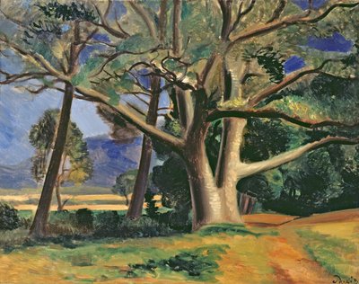 Det stora trädet, ca 1929-30 (olja på duk) (se även 287578) av Andre Derain