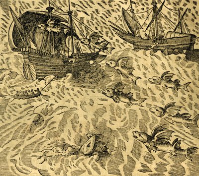 Flygande fiskar i tropiska hav, gravyr från Cosmographie Universelle, av Andre