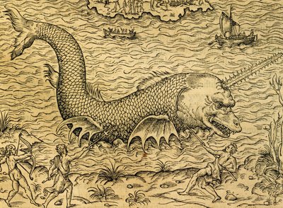 Sjömonster, gravyr från Universal Cosmology, av Andre Thevet (1504-1592), Paris av Andre Thevet