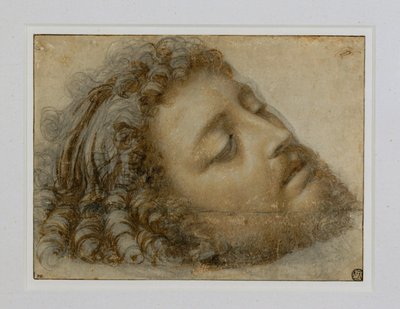 Huvudet på Sankt Johannes Döparen ... av Andrea Solario