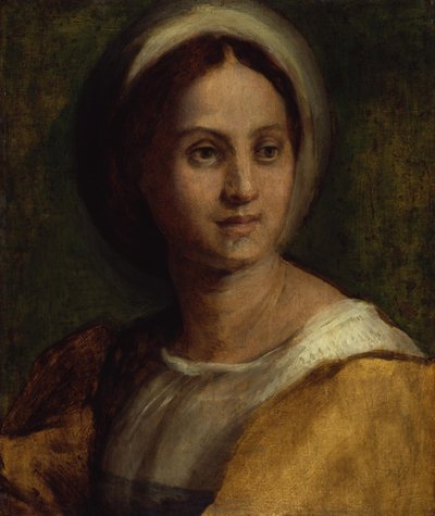 Porträtt av en ung kvinna av Andrea del Sarto