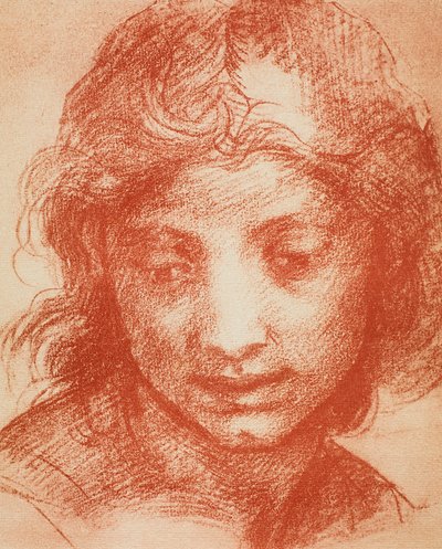 Pojkar huvud av Andrea del Sarto