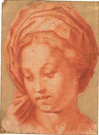 Borghese Madonna av Andrea del Sarto