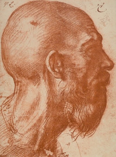Mans huvud i profil av Andrea del Sarto