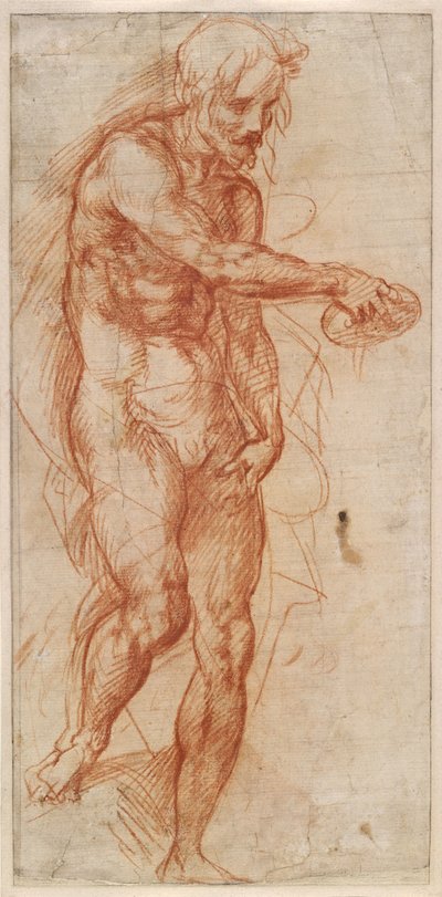 Saint John the Baptist Study, ca 1518 av Andrea del Sarto