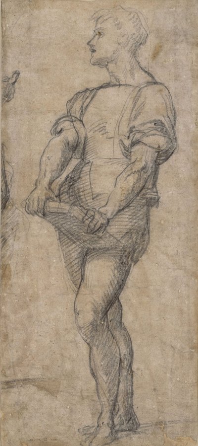 Stående ungdom som håller i en bok, ca 1515 av Andrea del Sarto