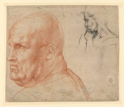 Studie av två huvuden av Andrea del Sarto