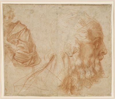 Studieblad med en yngling och huvudet av en gammal man vänt åt höger (Homerus?) av Andrea del Sarto