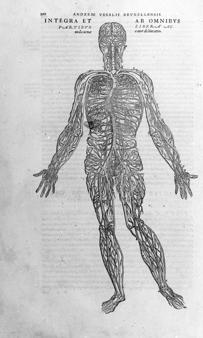 Andrea Vesalio (1514 - 1564), läkare för Karl V av Andreas Vesalius