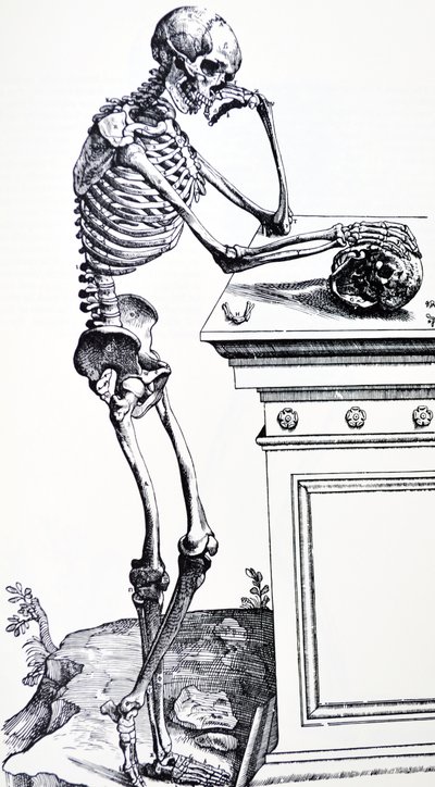 Mänskligt skelett med skalle i handen. Från "De Humani Corporis Fabrica" ​​av Vesalius. Eventuell vedhuggare: Jan von Calcar av Andreas Vesalius