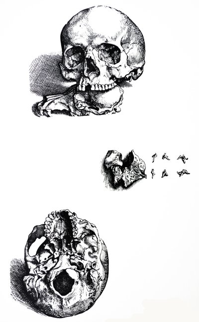 Plattorna från den första boken i De Humani Corporis Fabrica av Andreas Vesalius