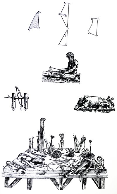 Tallrikarna från den andra boken av De Humani Corporis Fabrica av Andreas Vesalius