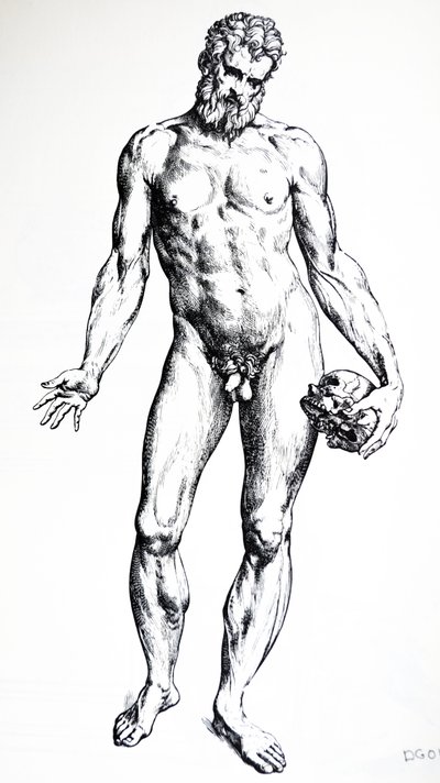 Tallrikarna från den sjunde boken av De Humani Corporis Fabrica av Andreas Vesalius
