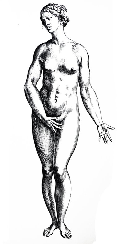Tallrikarna från den sjunde boken av De Humani Corporis Fabrica av Andreas Vesalius