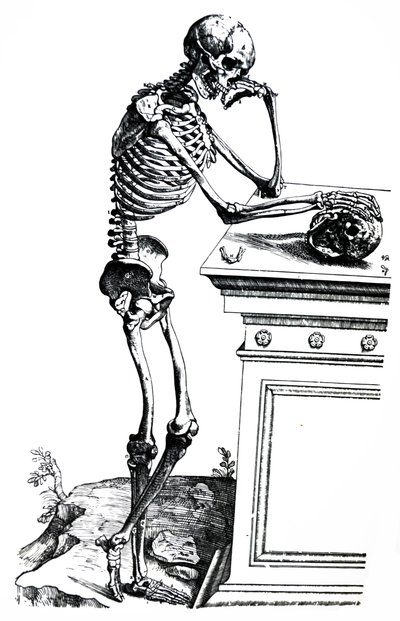 Tallrikarna från den sjunde boken av De Humani Corporis Fabrica av Andreas Vesalius