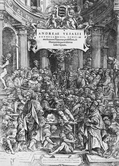 swedish av Andreas Vesalius