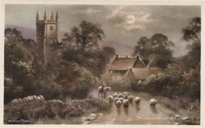 Dartmoor: Widdicombe-in-the Moor (färgfoto) av Andrew Beer