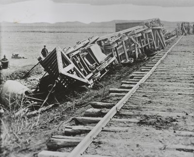 Urspårade tåg, Manassas, Virginia av Andrew Joseph Russell