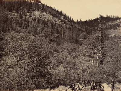 Plansch 19. Bland timmerstockarna vid Little Laramie River,1869 (foto) av Andrew Joseph Russell