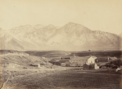 Plåt 49. Brigham Youngs bomulls- och yllefabriker,1869 (foto) av Andrew Joseph Russell