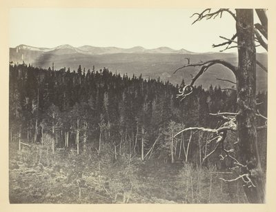 Snö- och timmerlinje, Medicine Bow Mountain av Andrew Joseph Russell