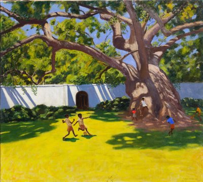 ANTIKA KAMPORTRÄD, VERGELEGEN ESTATE, SYDAFRIKA av Andrew Macara