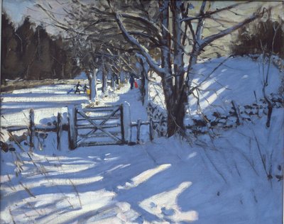 Gate nära Youlgreave, Derbyshire av Andrew Macara