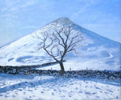 Hill and Tree, Derbyshire, 2008 av Andrew Macara