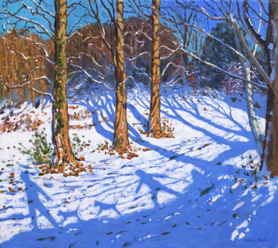 Novembersnö, Allestree Park, Derby, 2017, av Andrew Macara