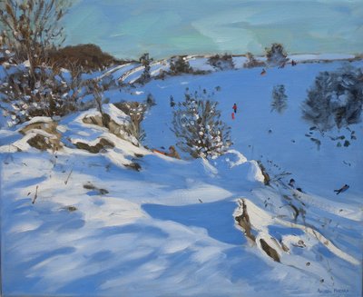 Sledgers, Derbyshire, 2011 av Andrew Macara
