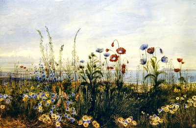 A View of Kingstown och Dublin Bay (akvarell på papper) av Andrew Nicholl