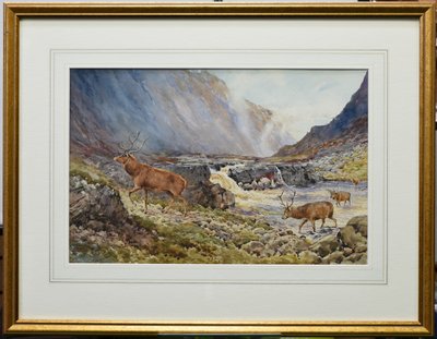 Deer Crossing the River Coe (akvarell på papper) av Andrew Scott Rankin