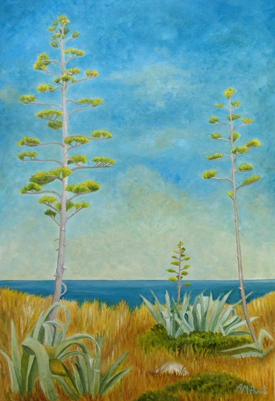Agave vid havet av Angeles M. Pomata