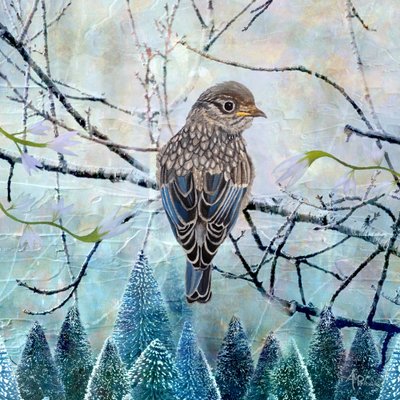 Blå fågel – vintermotiv av Angeles M. Pomata