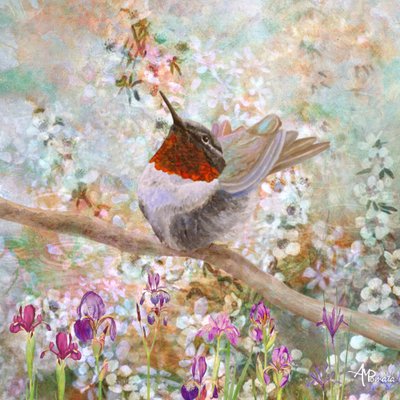 Kolibri bland blommorna av Angeles M. Pomata