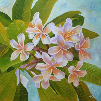 Mjuka plumeria-blommor av Angeles M. Pomata