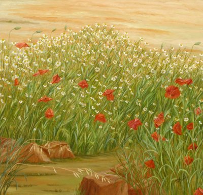 Sommarpoppies – ett fält med prästkragar av Angeles M. Pomata