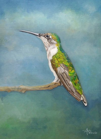 Färgglad kolibri-sittpinne av Angeles M. Pomata