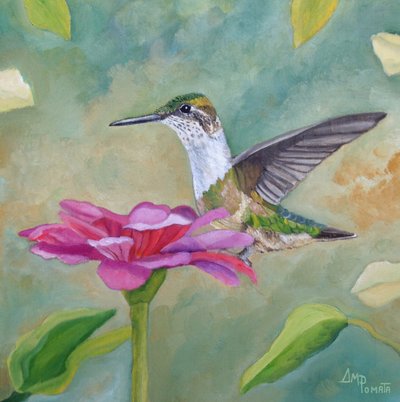 Livfull kolibri-zinnia av Angeles M. Pomata