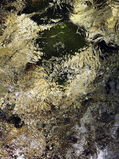  av Angelo Cerantola