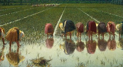 För åttio öre, av Angelo Morbelli (1853-1919), Olja på duk, 67,5x124,5 cm av Angelo Morbelli