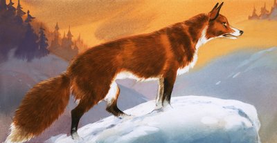Räv i snön av Angus McBride