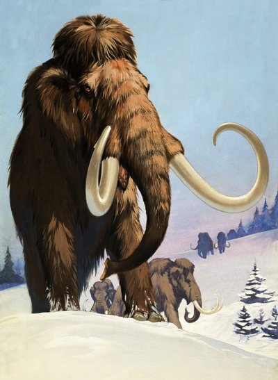 Mammutar från istiden av Angus McBride