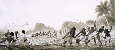 Infödingar i Karibien använder nät för att tråla efter fisk i havet av Angus McBride