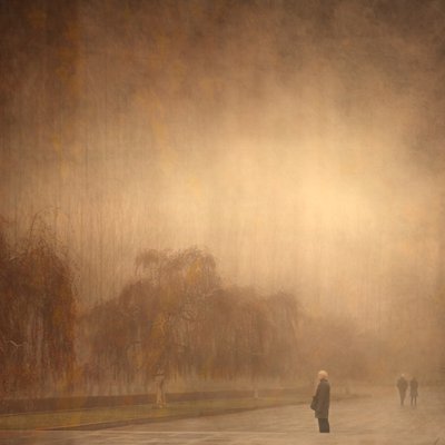 En drömlik höstpromenad av Anja Buehrer