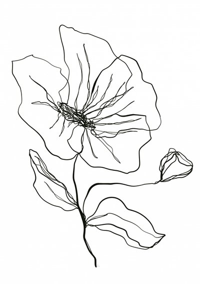 Skiss av en ömtålig blomma av Ankie Kooi