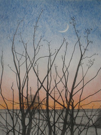 Från mitt fönster, 2011 (färgpenna på papper) av Anna Phillips