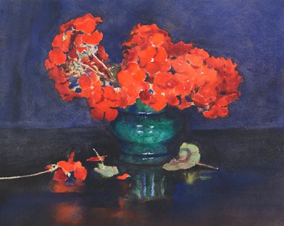 Pelargoner (akvarell) av Ann Spence Black
