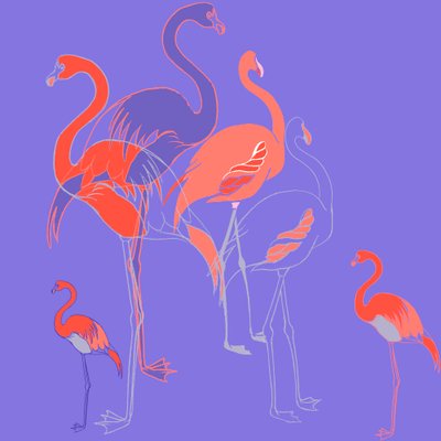 Flamingos av Anna Platts